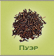 puer.jpg